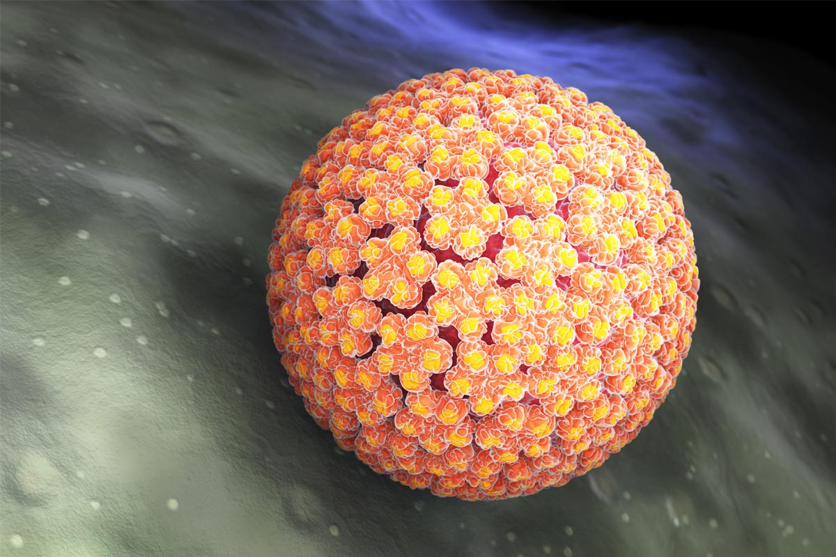Humane Papillomviren und die HPV-Impfung